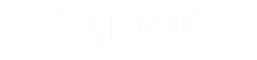 “Elephant” 